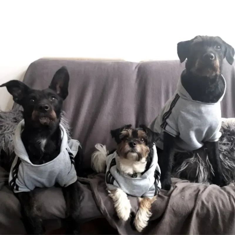 Adidog Autumn Winter Warm Dog Clothes Dog Hoodies Pet Warm Coat for Medium Large Dog Jacket Sweater Puppy French Bulldog Clothes